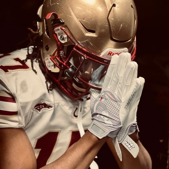 PHENOM • Looney Tunes Football Gloves BUGS BUNNY! VPS4 By Phenom Elite - Picture 2 of 6